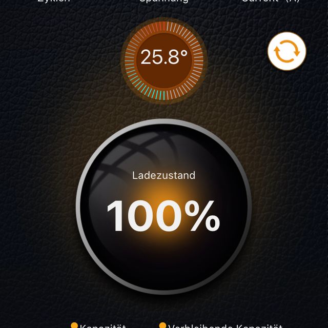 Handy-Anzeige Lithium-Batterie von Liontron